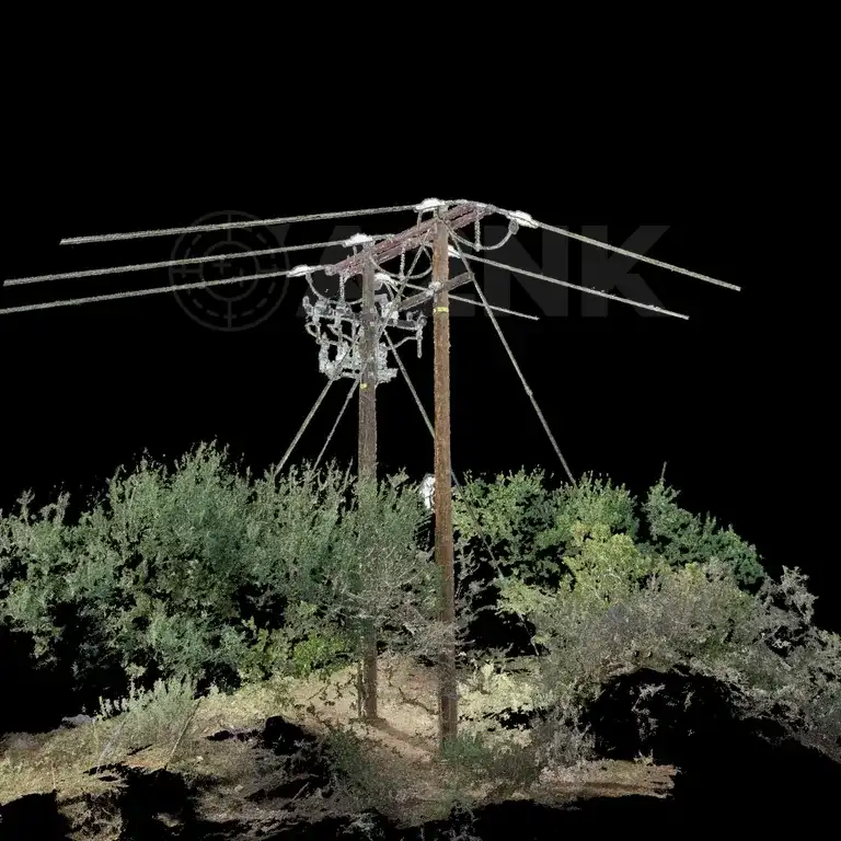 Colorized 3D point cloud of a utility pole and surrounding vegetation, produced from drone photogrammetry